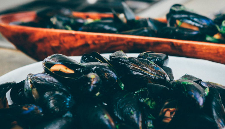 food_mussel_bowl_seafood_clam-55575.jpg!d