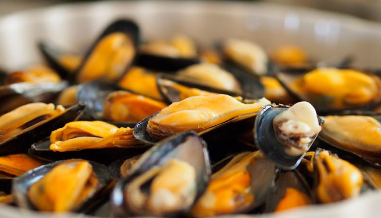 seafood_molluscs_clams_cook_food-1082539.jpg!d